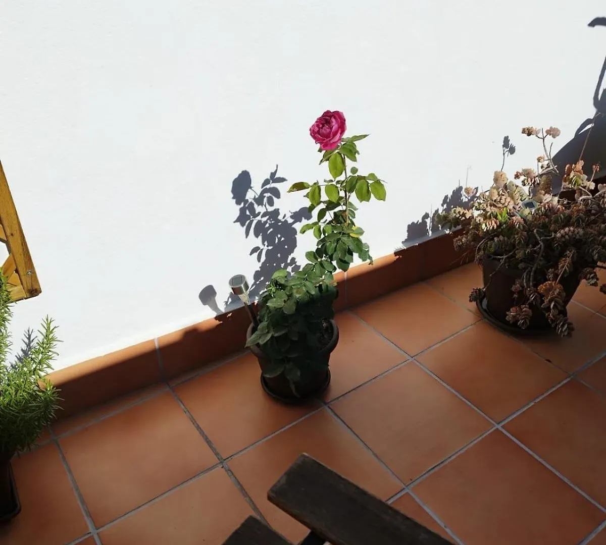 Daire Apartamento Plumaria Málaga