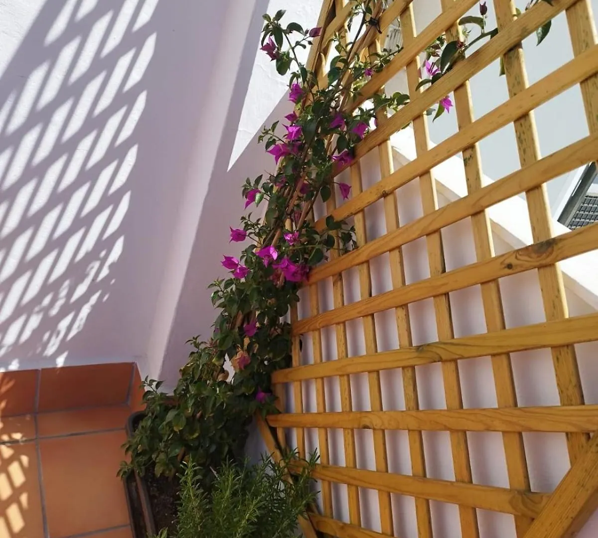 Apartamento Plumaria Málaga 0*,  İspanya